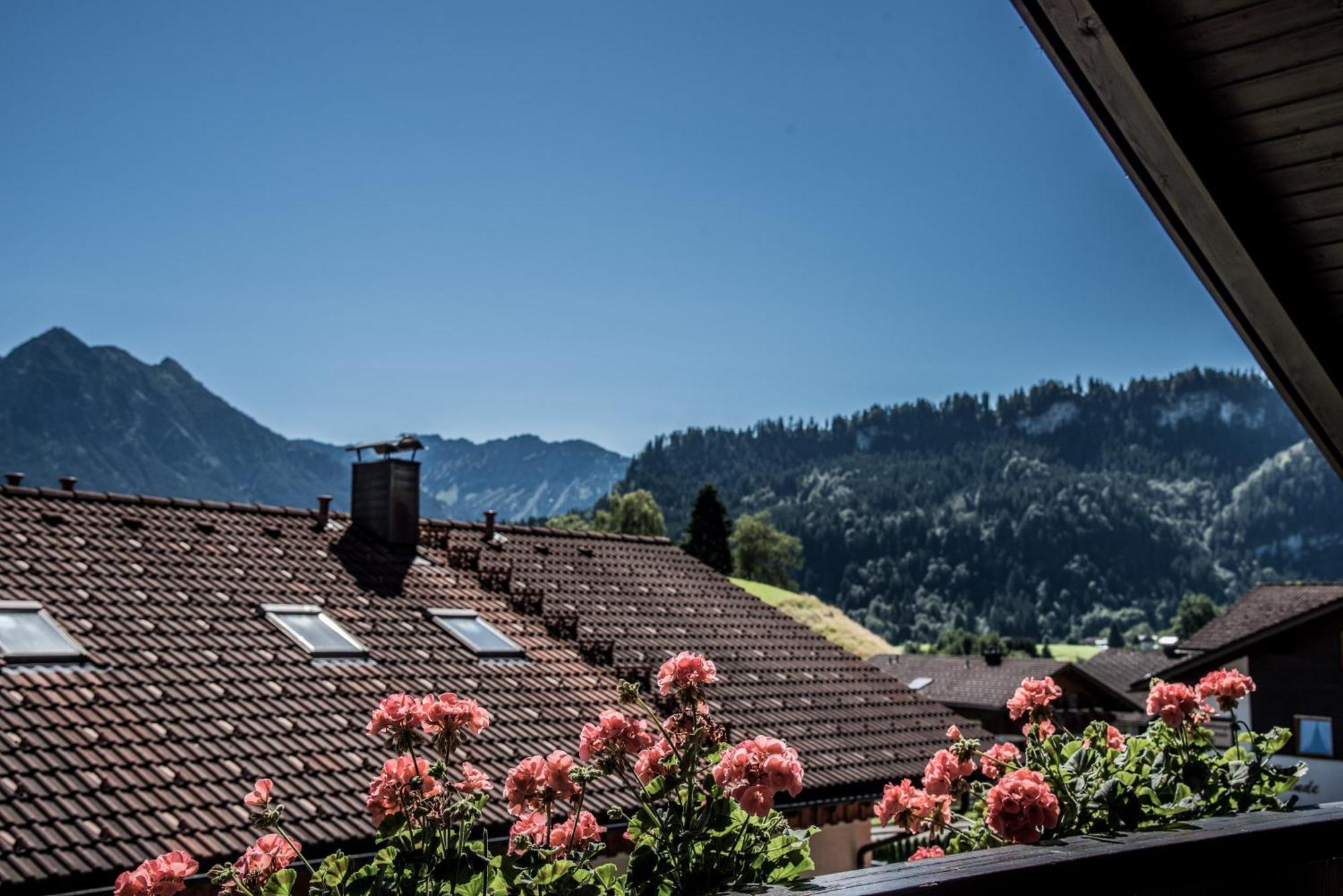 Haus Susanne - Top-Ferienwohnungen - Sommer-Bergbahn Inklusive Obermaiselstein Dış mekan fotoğraf